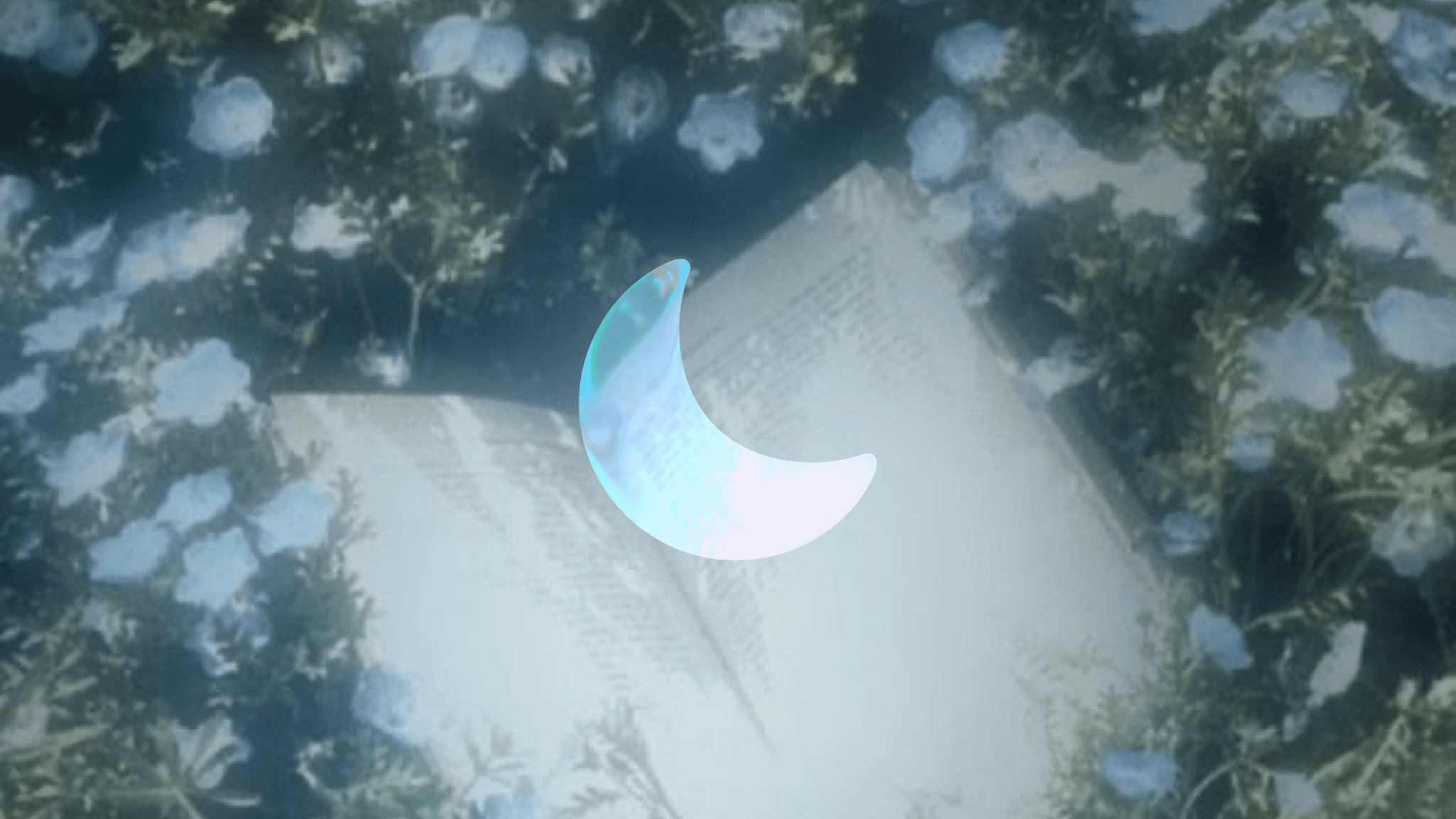 A Love Letter to Dreams